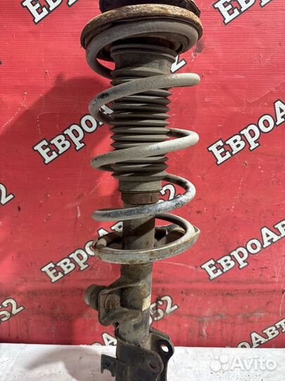 Стойка подвески передняя правая Suzuki Grand