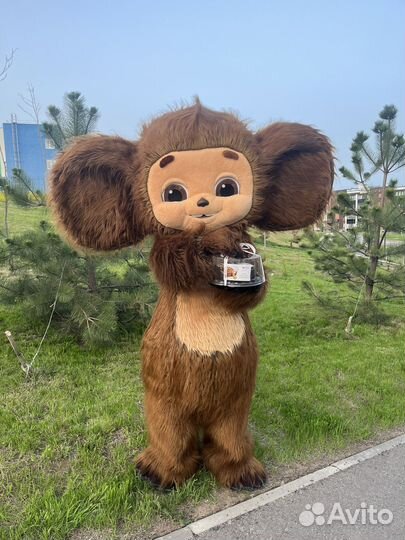 Поздравление.Чебурашка.Выписка.День рождения