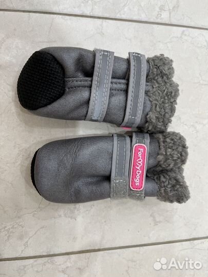 Обувь для собак