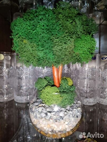 Моссариум.Дерево из стабилизированного мха.Подарок