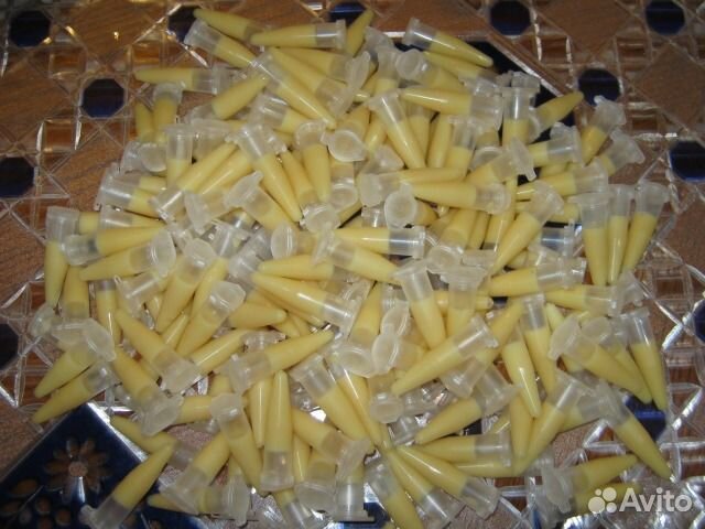 Цитокининовая паста