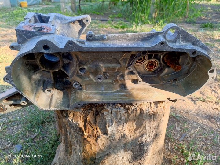 Картера Suzuki Sepia