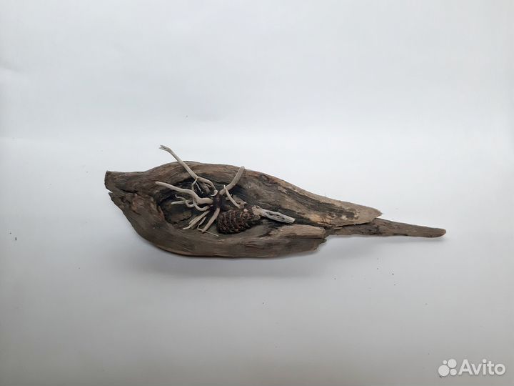 Коряга для моссариума