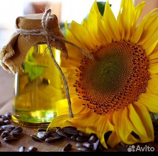 Продам масло растительное нерафинированное