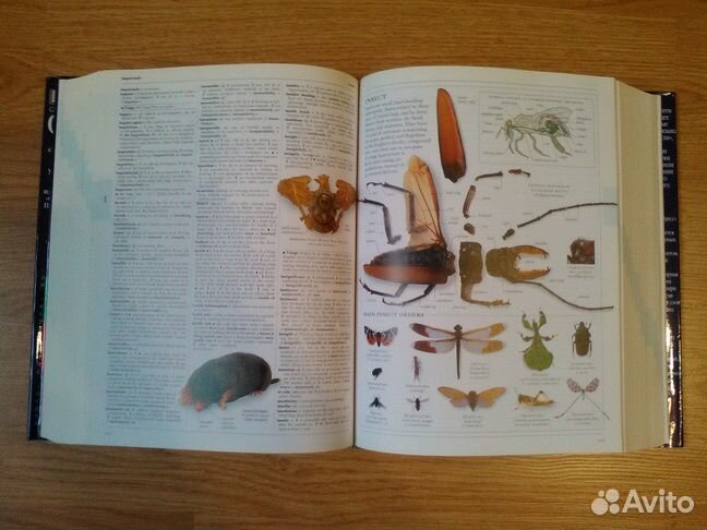 Иллюстрированный словарь англ-го яз. Oxford