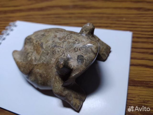 Декоративная лягушка