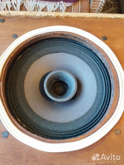 Колонки Романтика 10 Ас 207