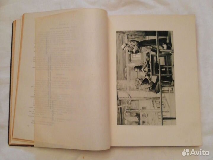 Книга