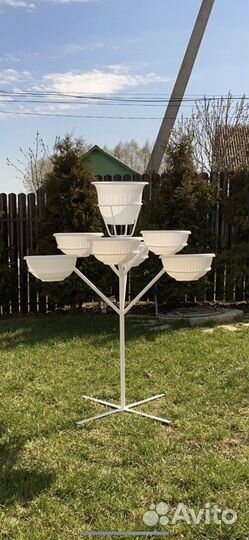 Цветик-семицветик дерево для петунии