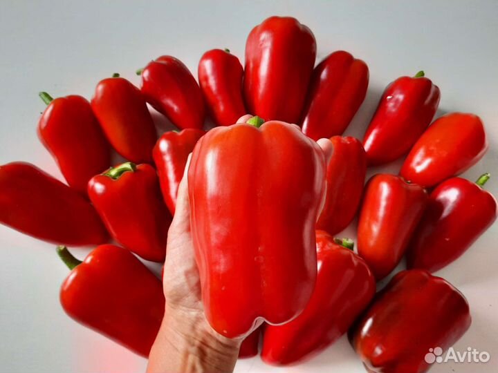 Шикарный перец семена