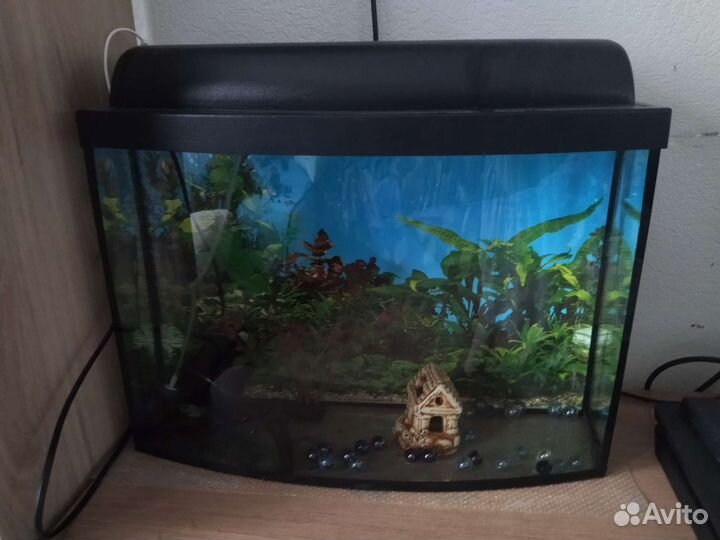 Аквариум панорамный