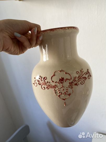 Папоротник асплениум гнездовой