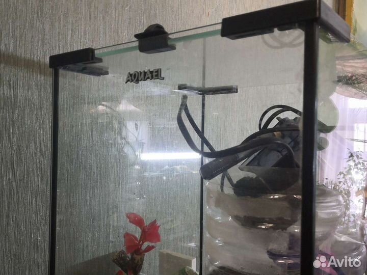 Аквариумы и гроты