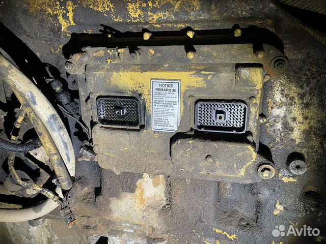 Мозги кат 12 на Фредлайнер