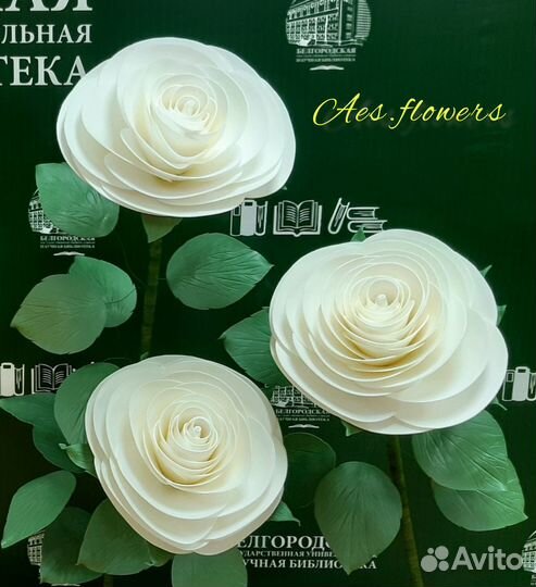 Ростовые цветы