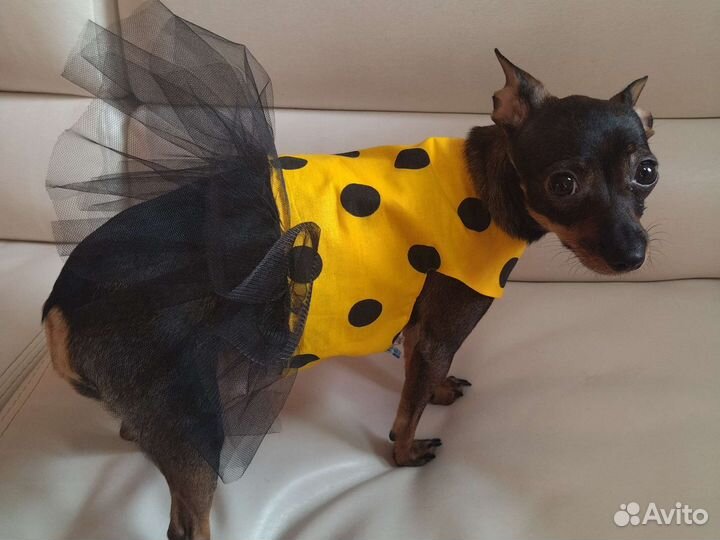Платье для собаки
