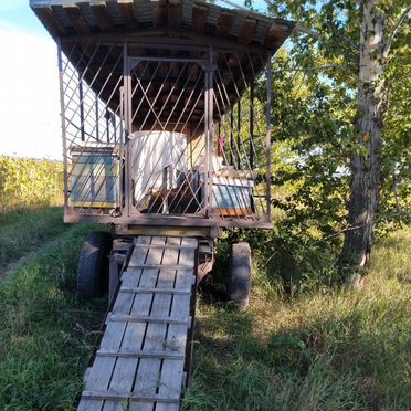 Продам пасеку с домом