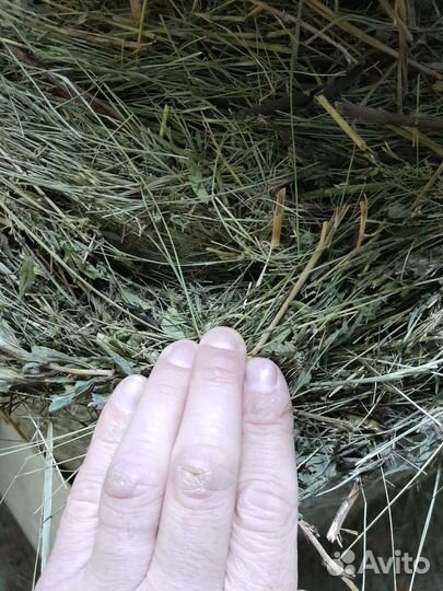 Сено в рулонах