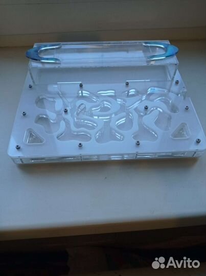 Муравьиная ферма 