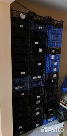 Пластиковая тара (ящик, корзина) для овощей