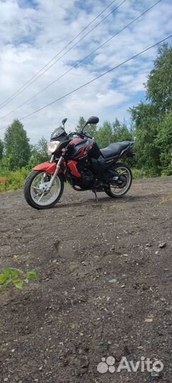 Racer nitro 250