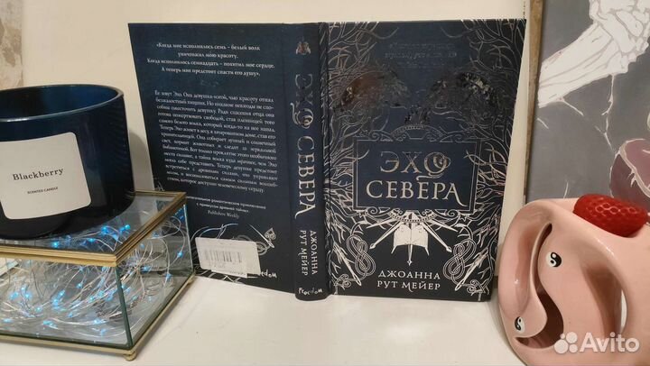 Джоанна Рут Мейер - Эхо севера