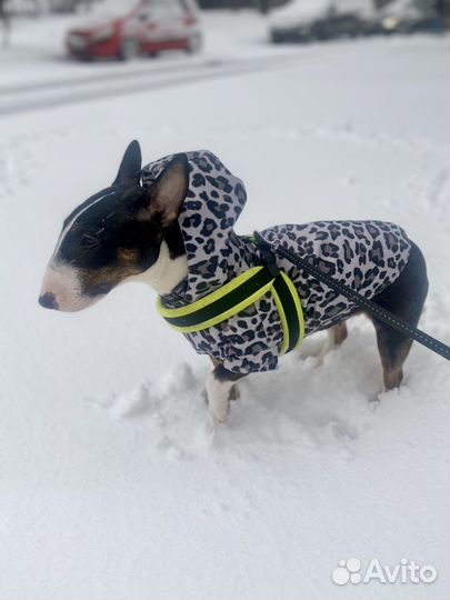 Дождевик накидка