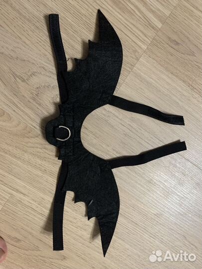 Аксессуары для кошек