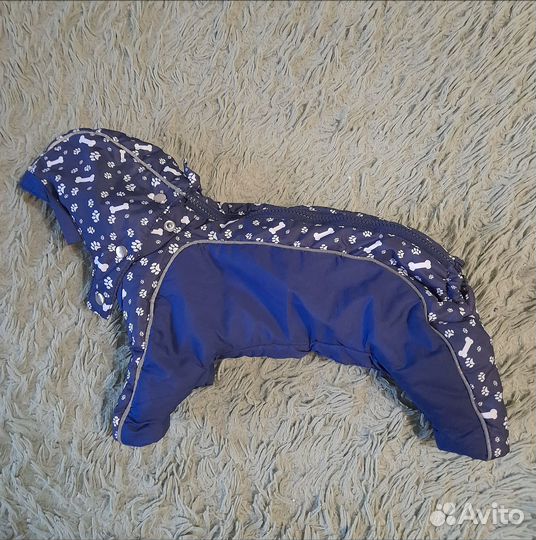 Костюм зимний для маленькой собаки