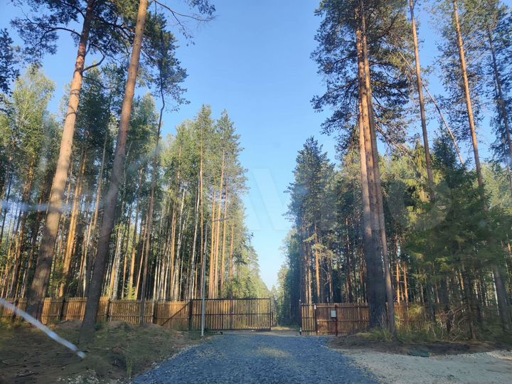 Участок 7 сот. (СНТ, ДНП)