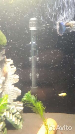 Аквариум jebo