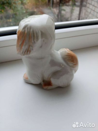 Пекинес СССР