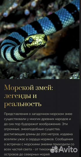 Создание презентаций презентации power point