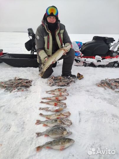 Рыбалка с гидом