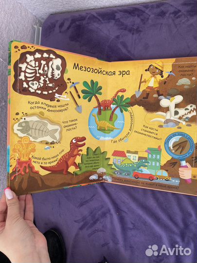 Книга про динозавров с окошками