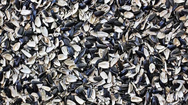 Лузга подсолнечника в мешках