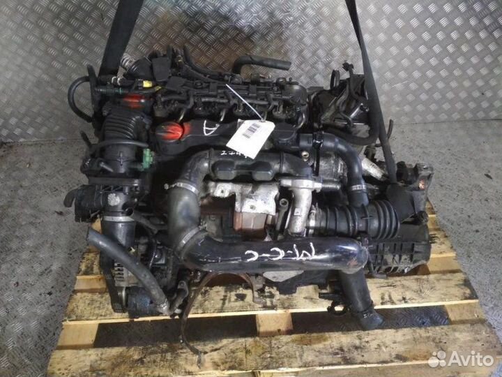 Двигатель Ford C Max hhda