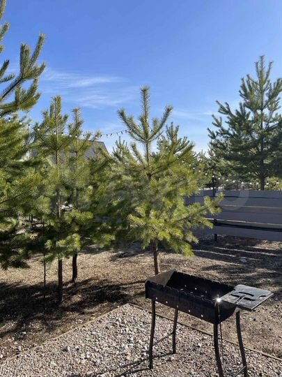 Дом 120 м² на участке 1,3 га