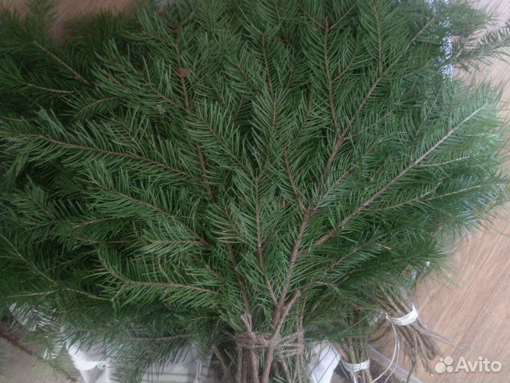 Пихтовые веники для бани