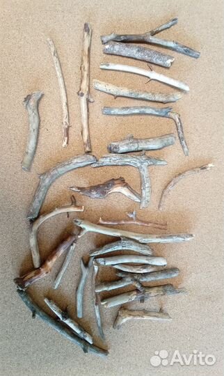 Сосновые веточки палочки для дрифтвуда