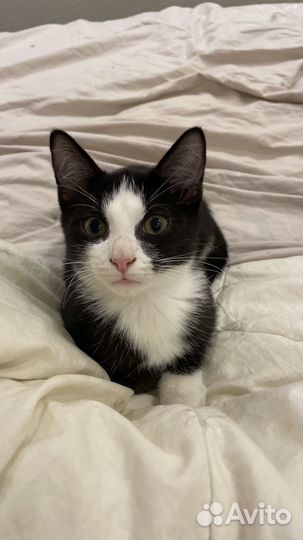 Страшненький мальчик