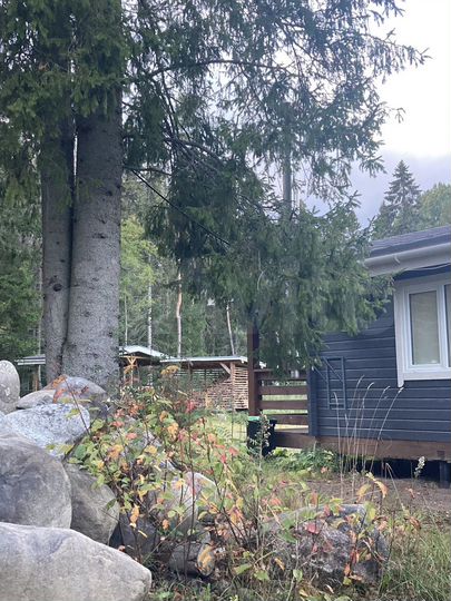 Дом 36 м² на участке 12 сот.