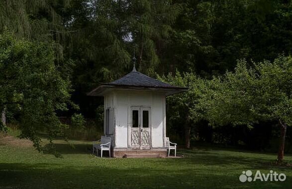 Газонная трава