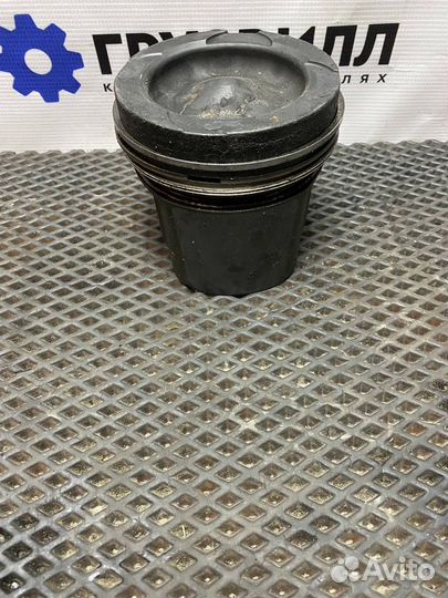 Поршень DAF XF105 130135