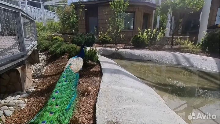 Франшиза для работы в образовательных учреждениях