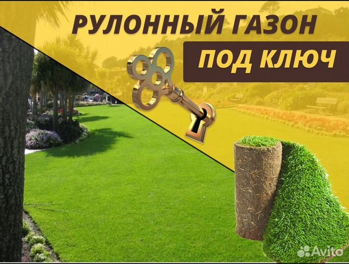 Рулонный газон с доставкой