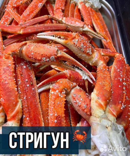 Краб Камчатский мега крупный, средний и стригун