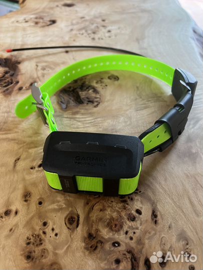 Ошейник Garmin TT 15 PCT