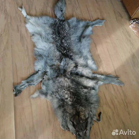 Продам шкуру волка