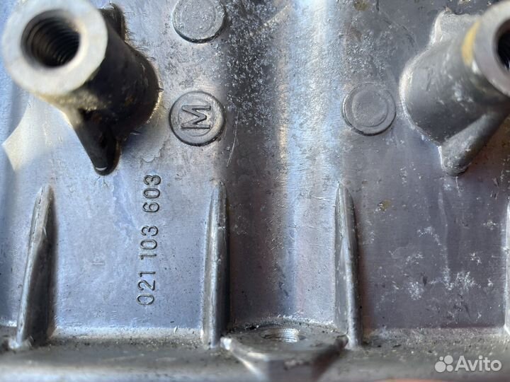 Потдон маслянный